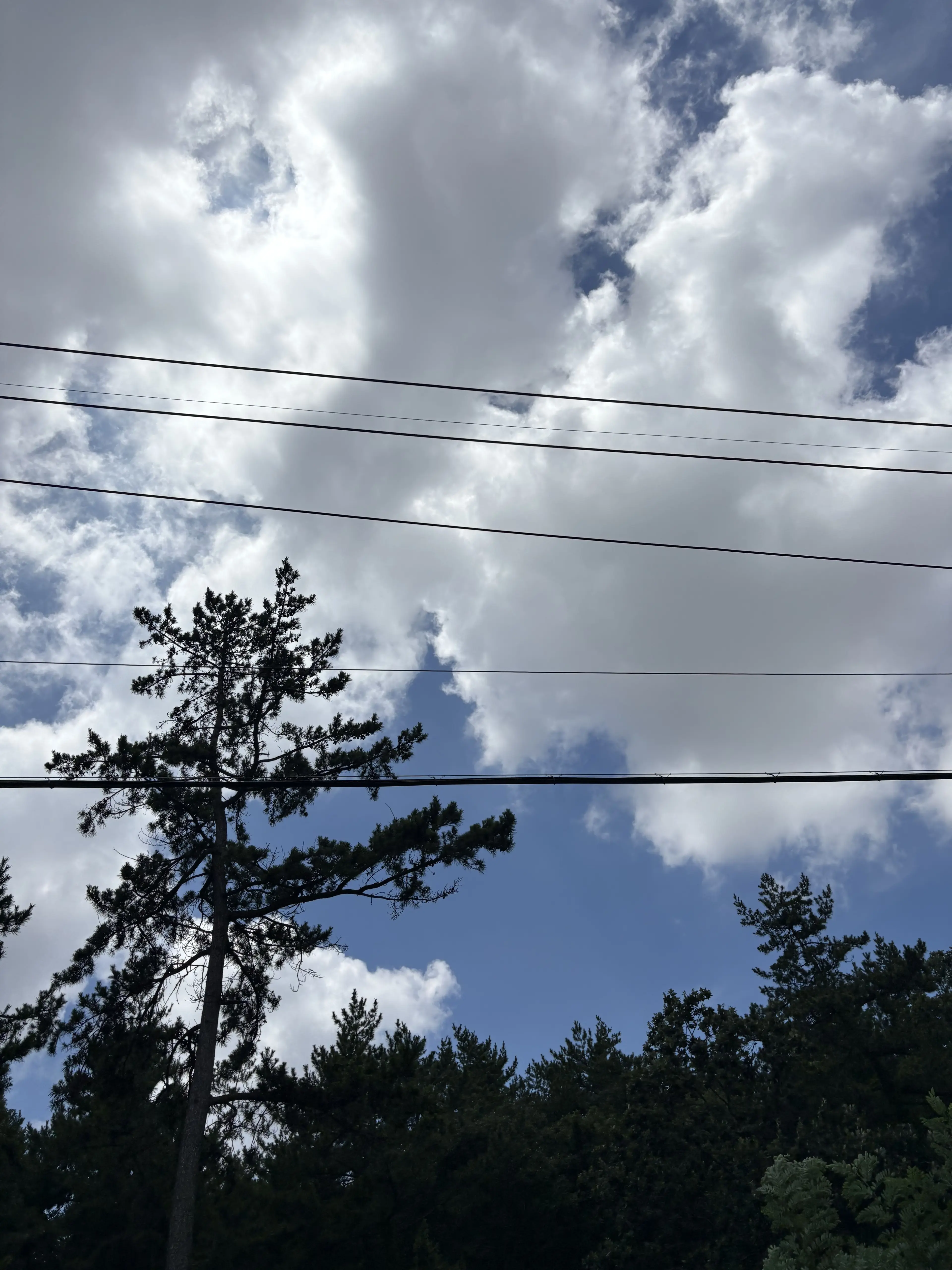 NutmegPilot7051의 블블즈