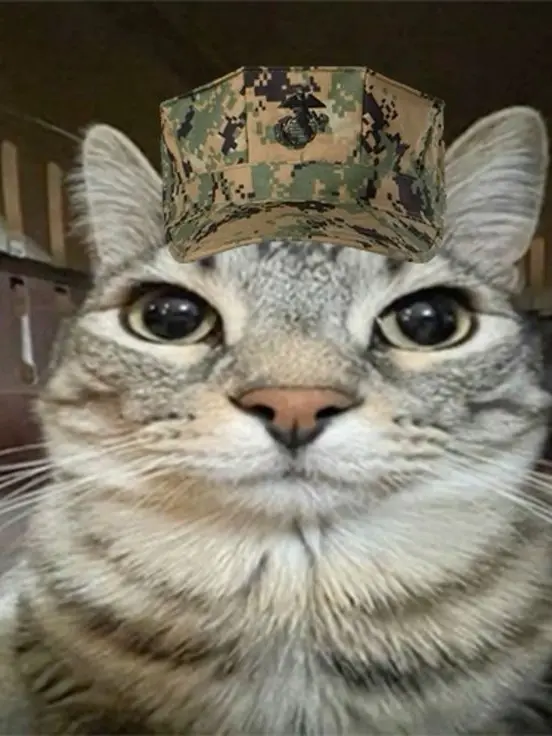 uing0726_의 입대했는데 간택당했습니다;