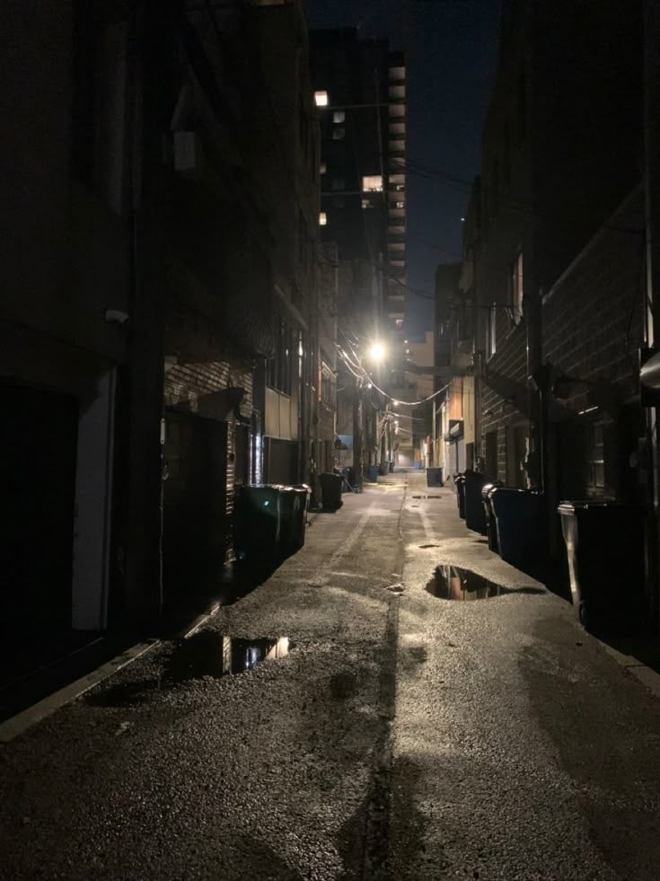 그날 새벽 골목길 대표 이미지