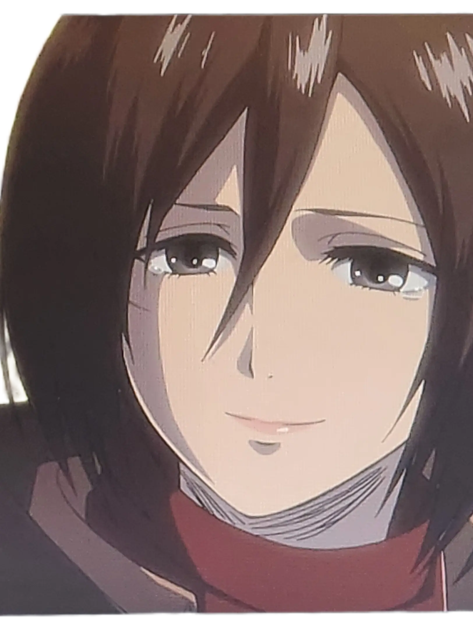 BadWage6574의 진격의 거인