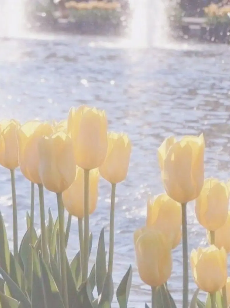 9632_dng의 後輩③