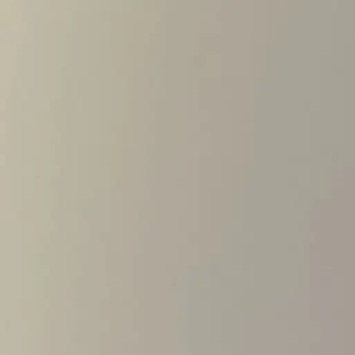 ChubbyLime9954의 개인용