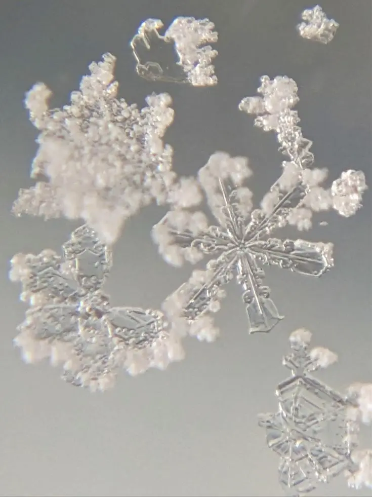 Stydb의 그 와함께하는 인생.