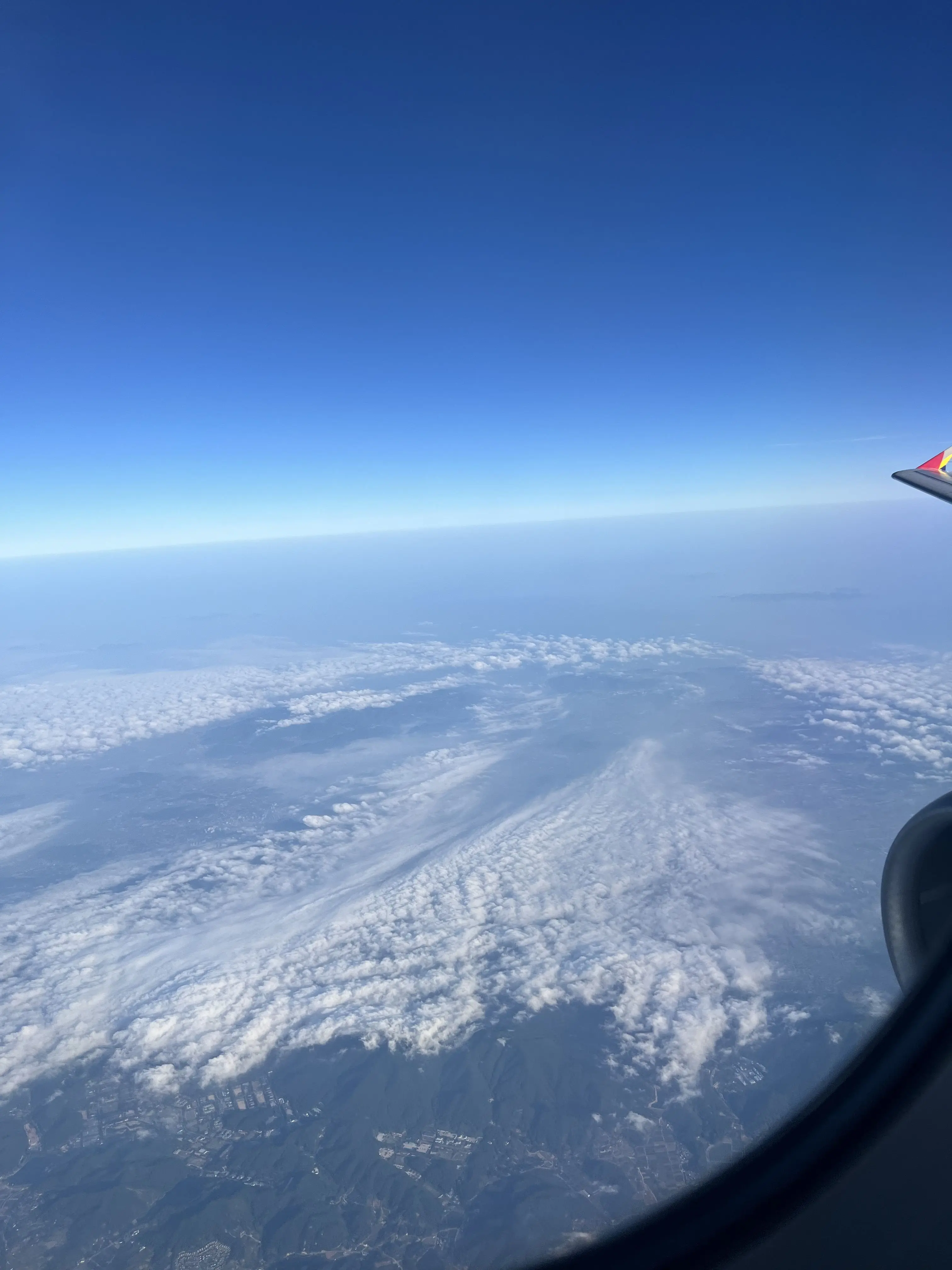 SleepyChin7925의 신아즈 in 좀비