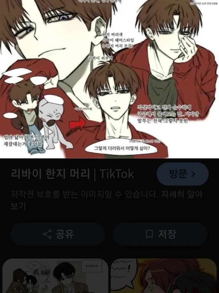 SwiftArmor1691의 립한가 2세가 있었다면?