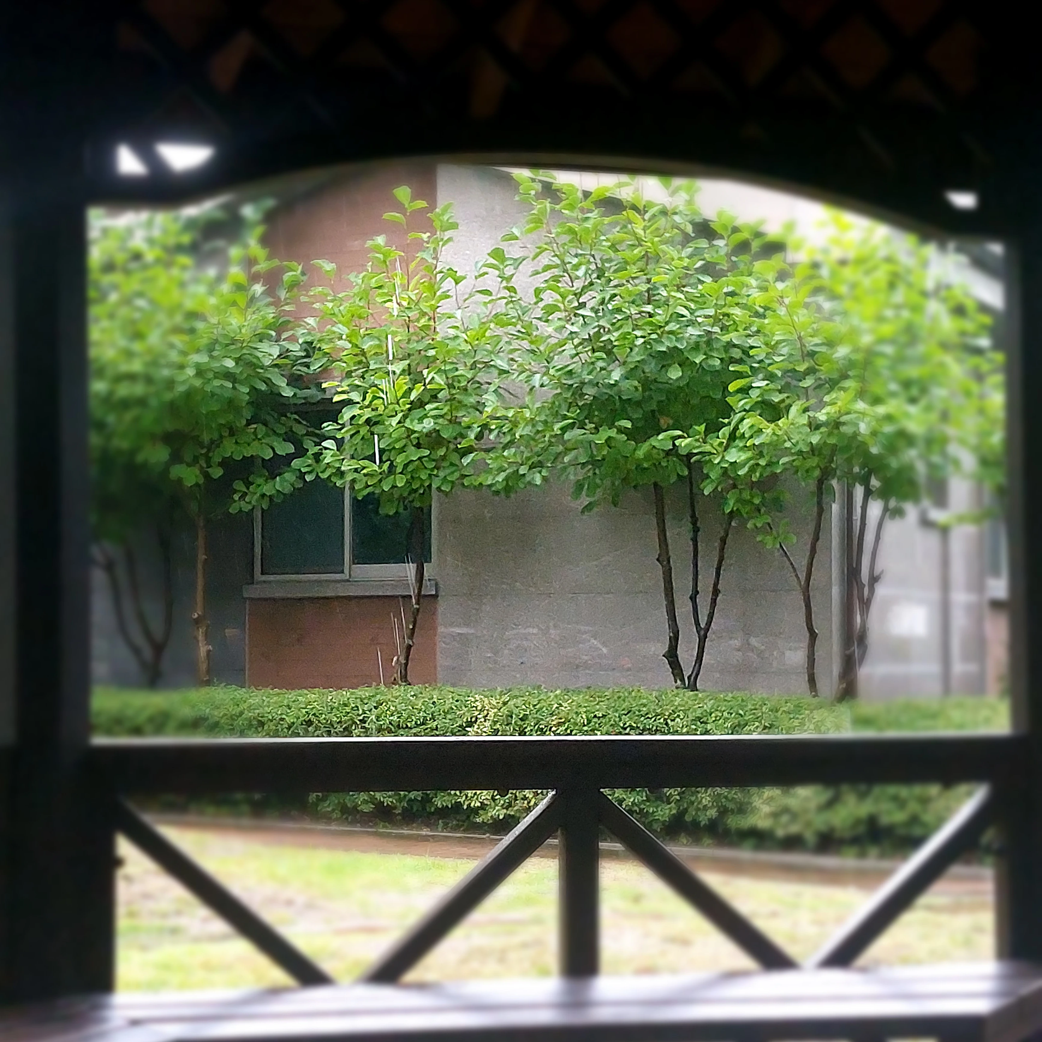 엉렁뚱땅, 픽셀리 기숙사생활!