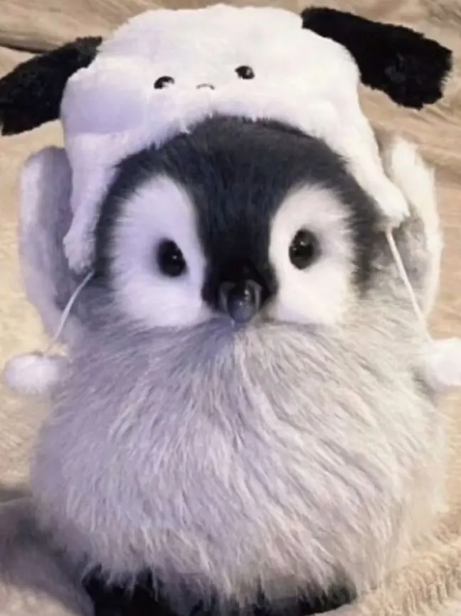 YoungPet8363의 도경수