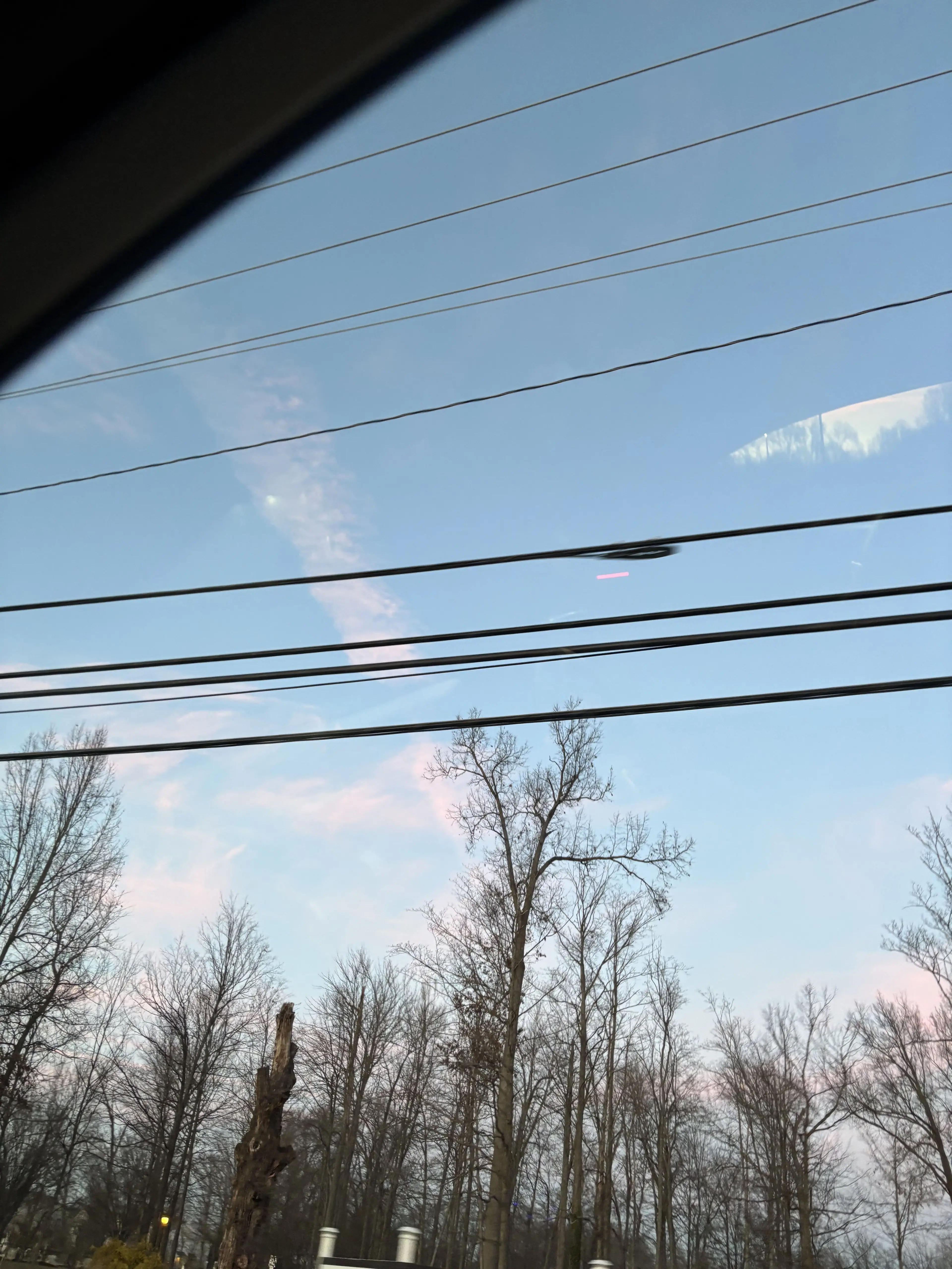 Ava262897의 You are in the middle child in the azwamic