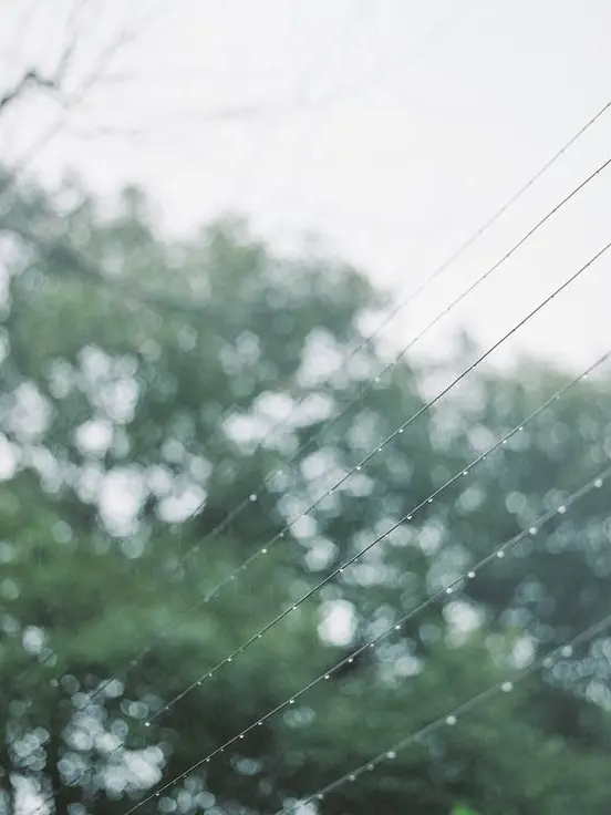 green_creeper의 𝐏𝐚𝐫𝐤𝐦𝐨