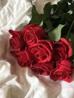 do_deok의 拉德