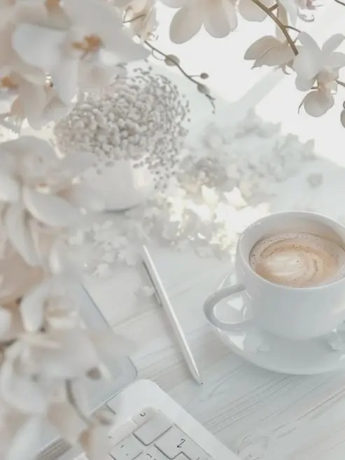 knt_hbr_zeffiro의 取り合い