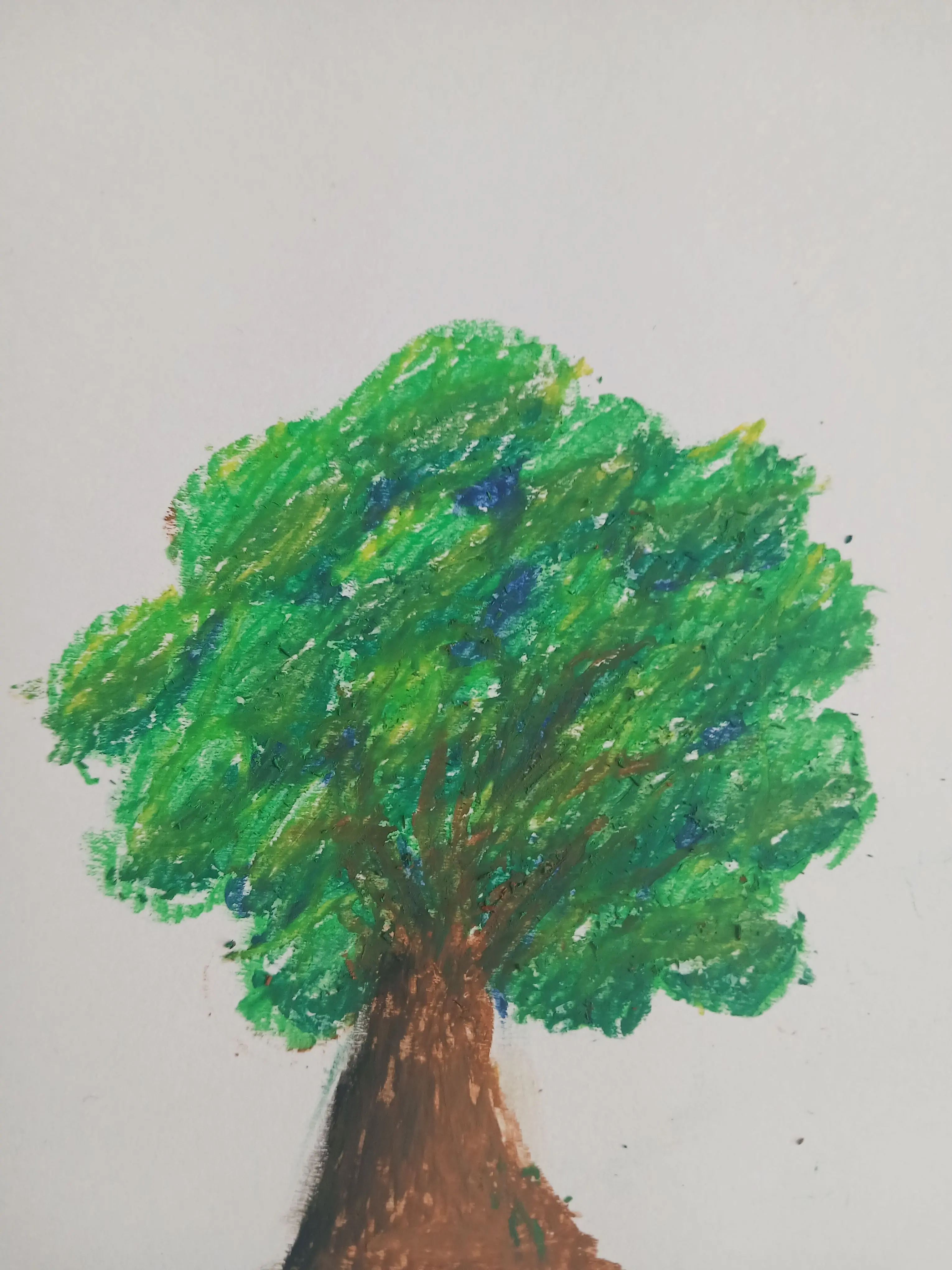 Parksoyoon7779의 모두 성적이 0점?!