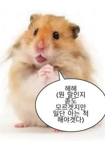 salt_love의 슬기로운 예고생활(여우포함)