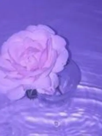Yurindes의 나사 빠진 우리들의 서머 시그널🍹