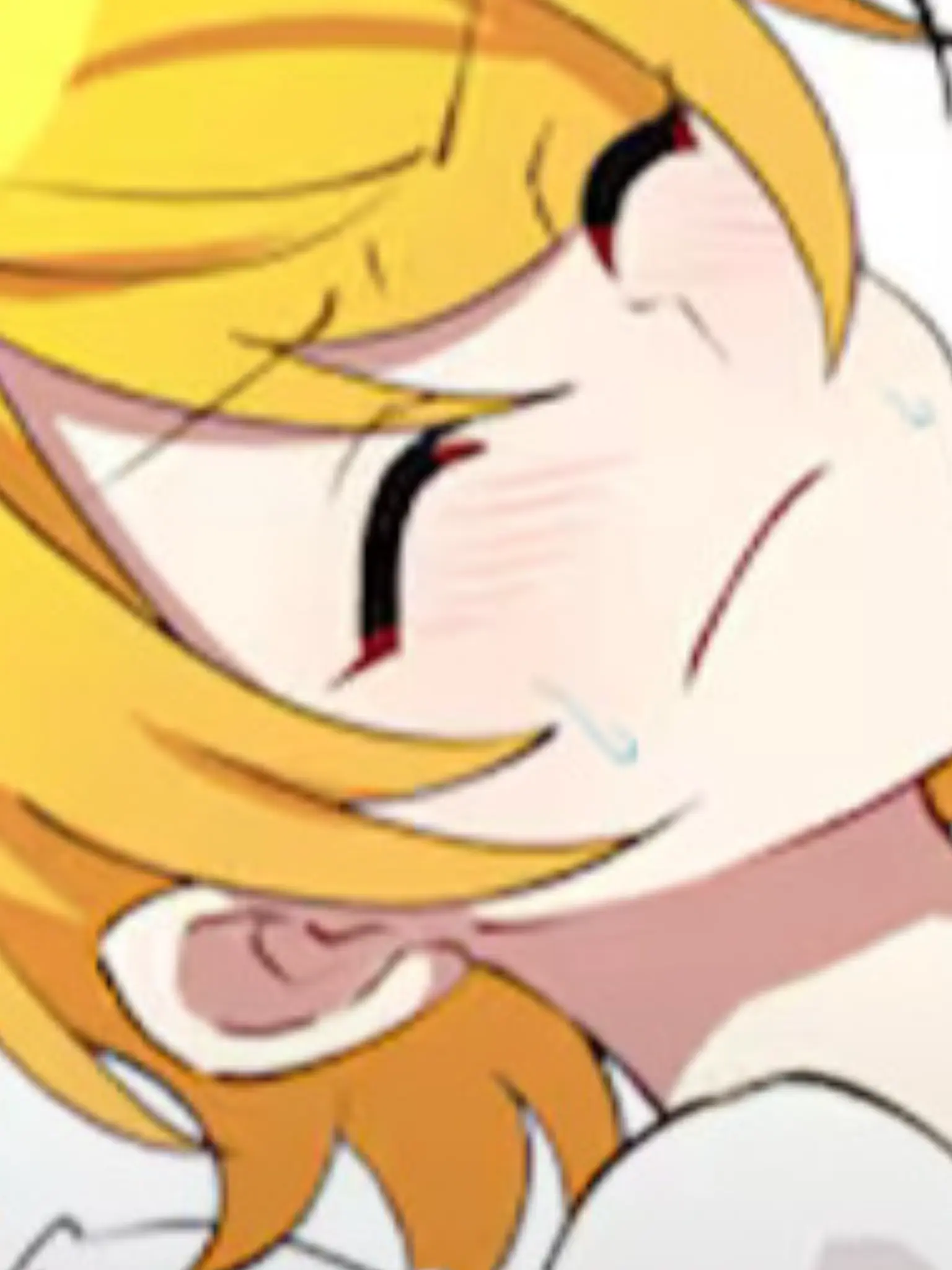 Ricocococo의 近 所 迷 惑