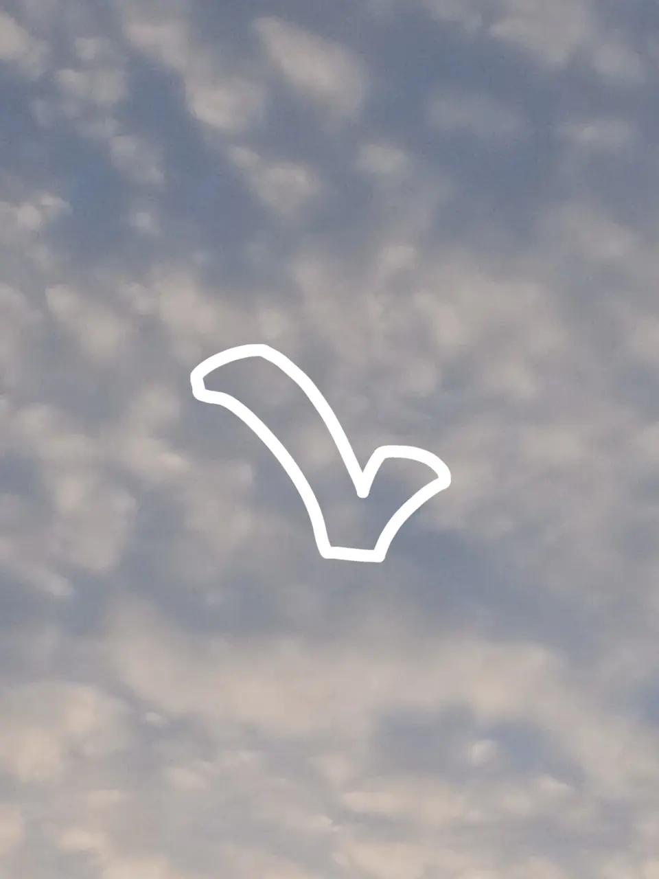 skybox의 seaCH for zeta