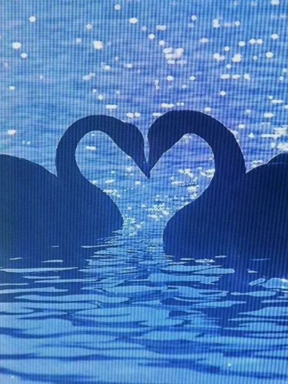 shawdowmilkcookieiloveyou의 퓨어바닐라_ 純粋なバニラ