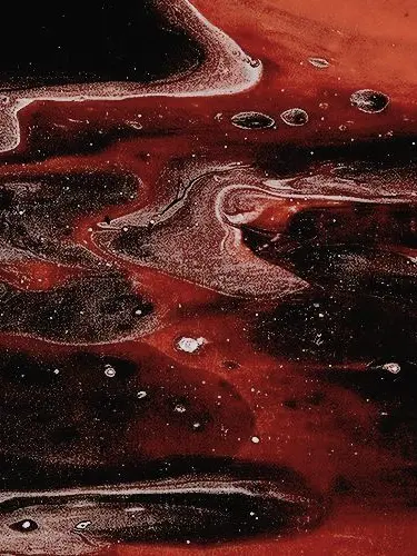 interesting_taste의 F1ag