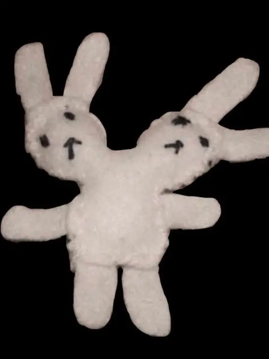 hello_rabbit의 최고의 파트너 D&D