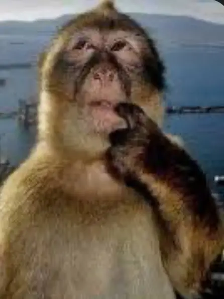 MiniVeery1146의 Family love.