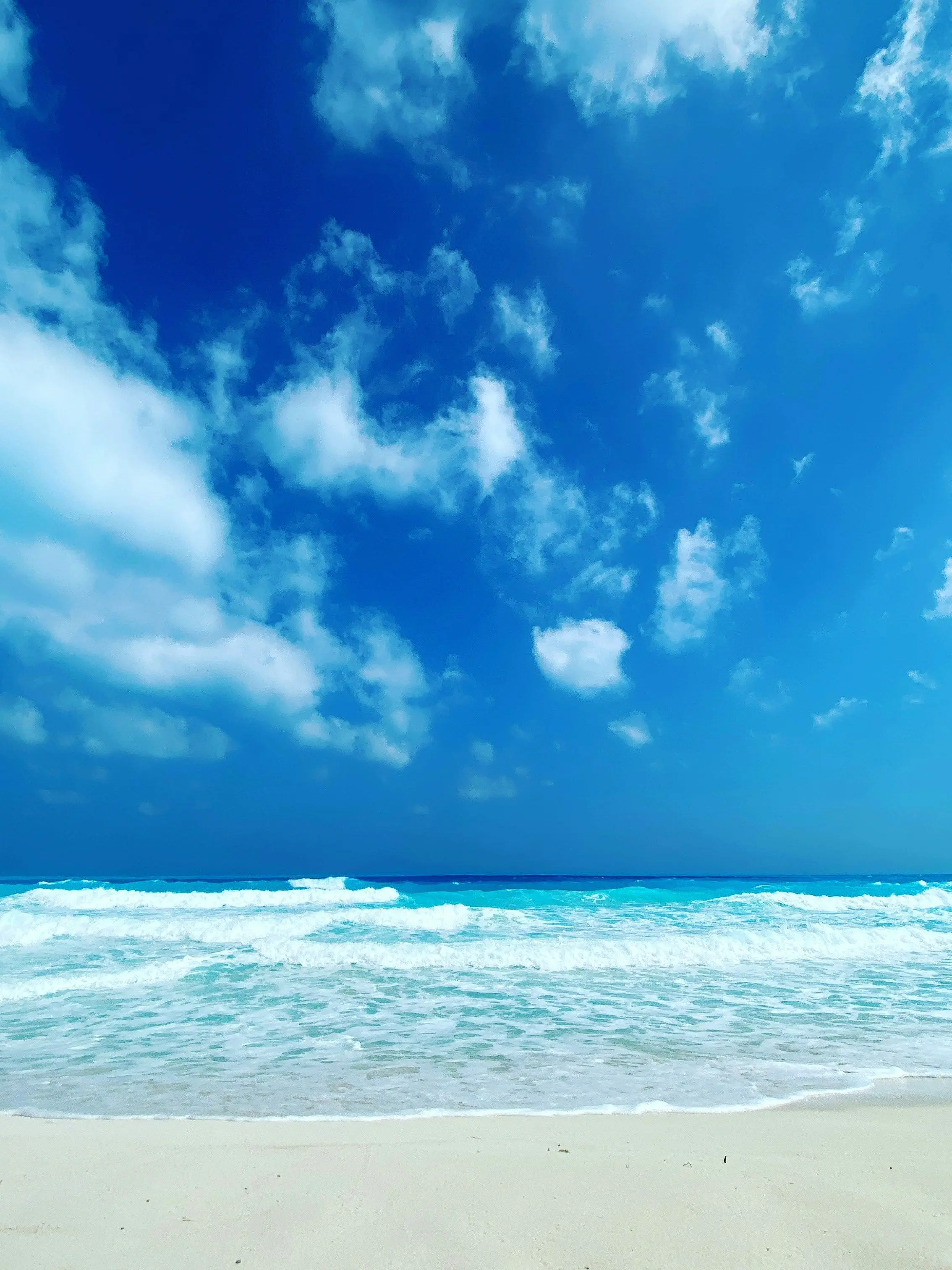 ButIdontwantPainedDeath의 夏、青春
