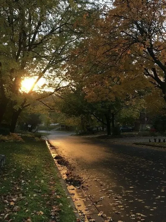 Akiralovie의 🍂 Welcome to Cedar Grove