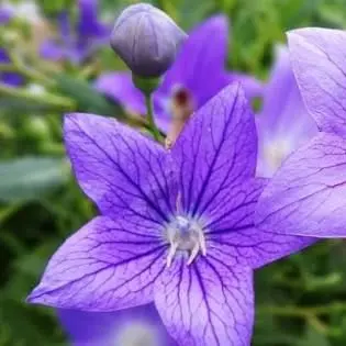 Azuertimelove의 .. 나 여깄으닌깐, 그만 좀 해.