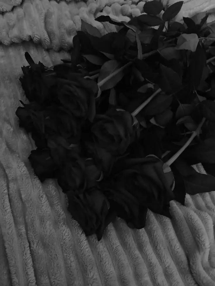 axeonx_1의 𝐯𝐢𝐥𝐥𝐚𝐧