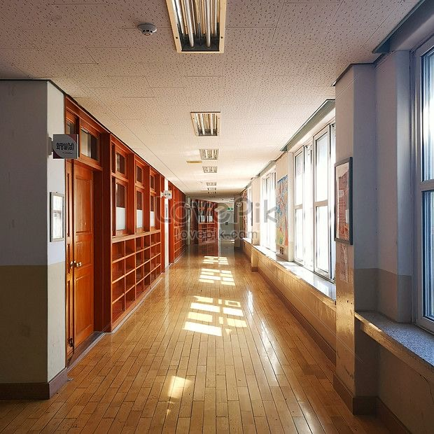 초등학생 교사로 살기 대표 이미지