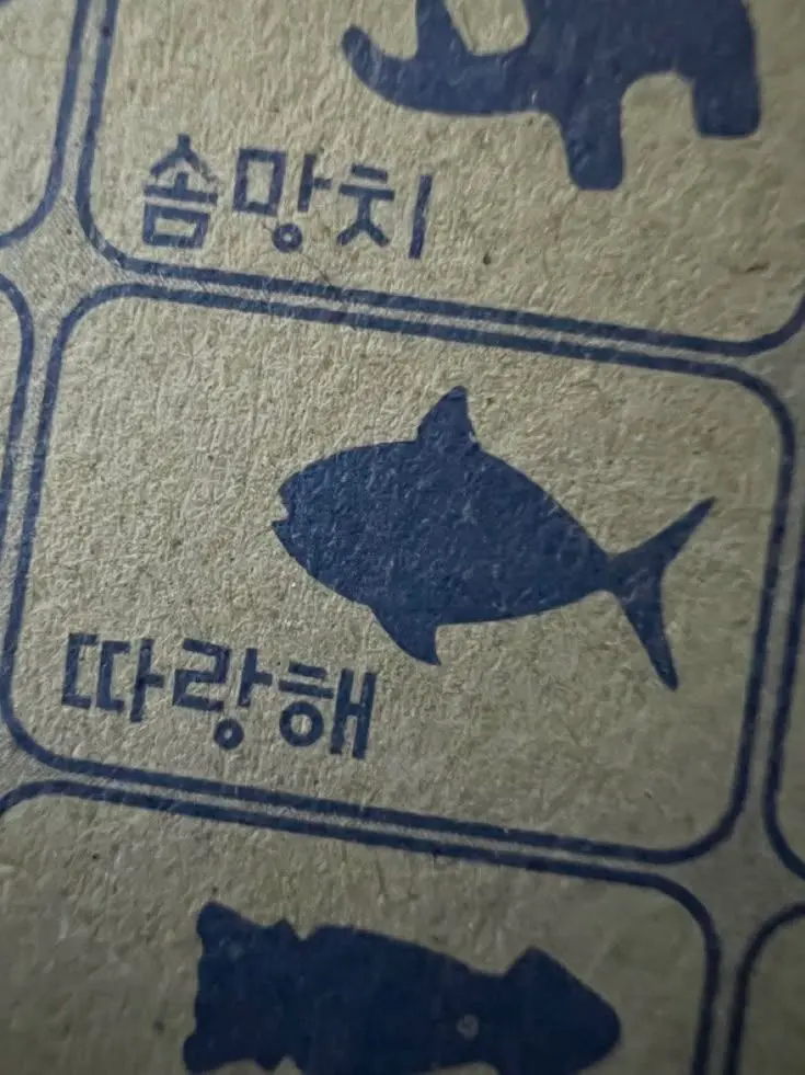 j.w0o_의 ︎