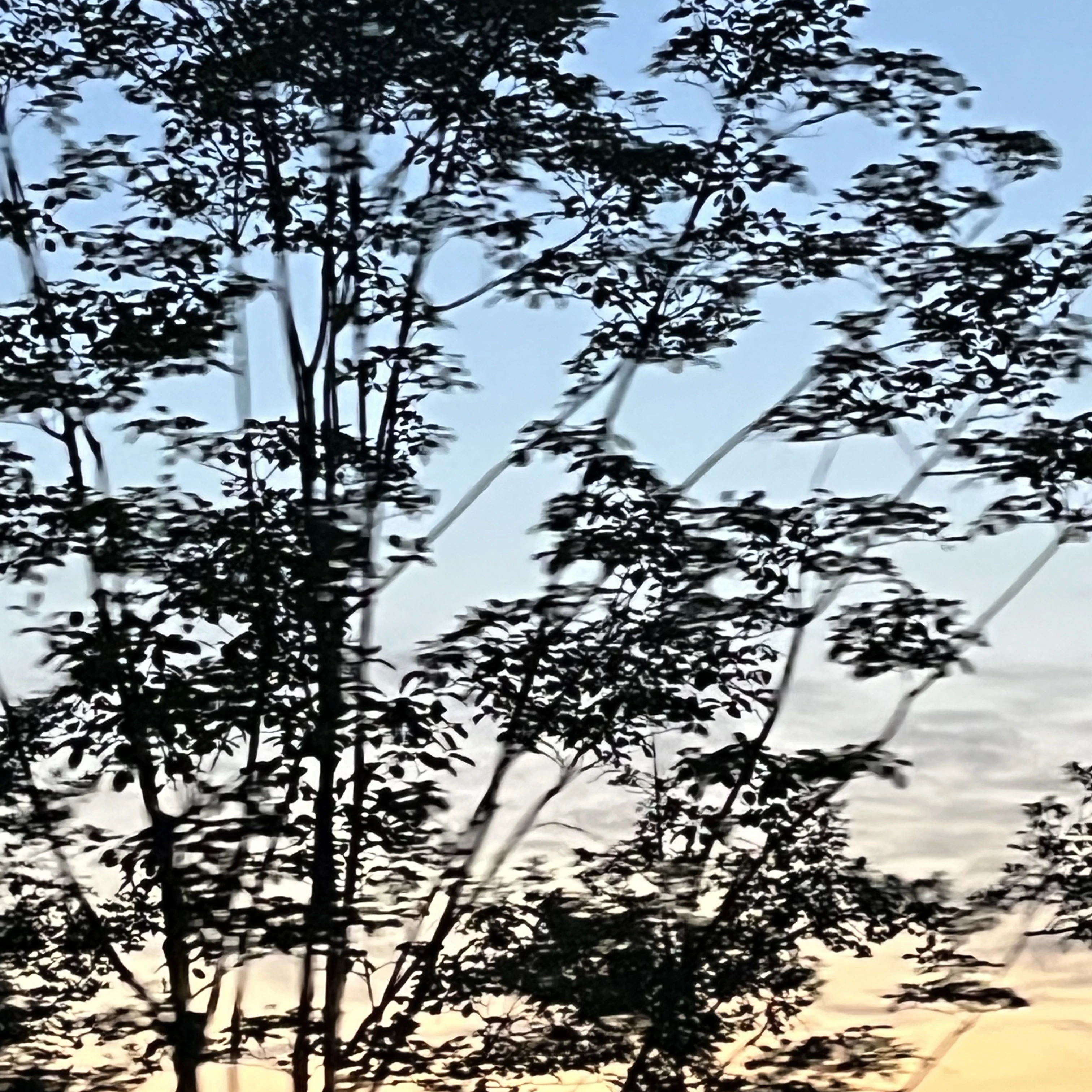 고고프렌즈+대저택+나사빠진친구들(여우