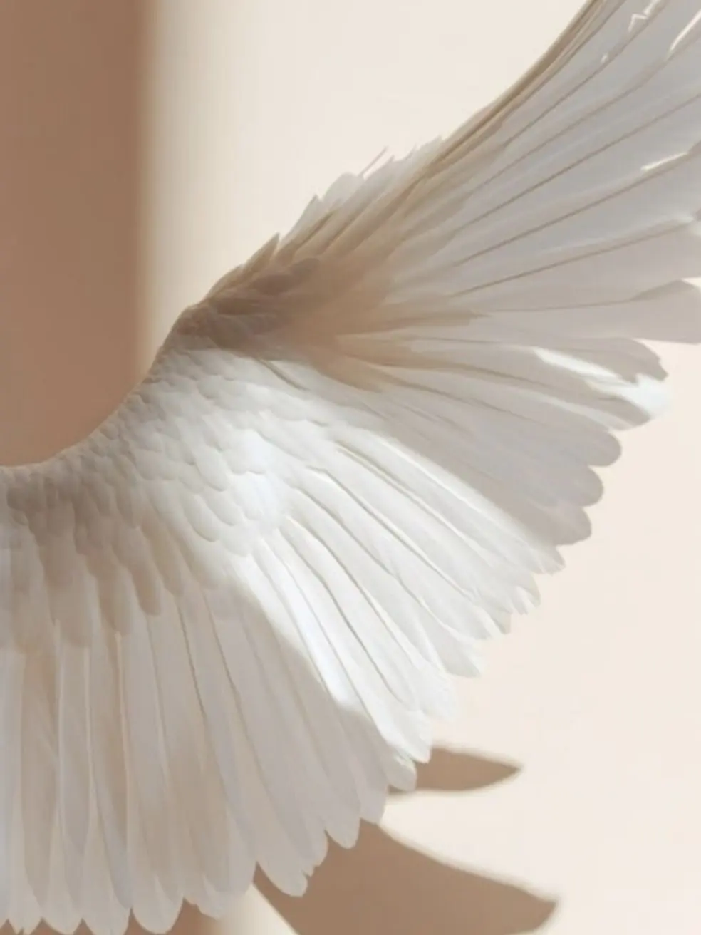 jjiiwon0626의 The Milky Descent ✦