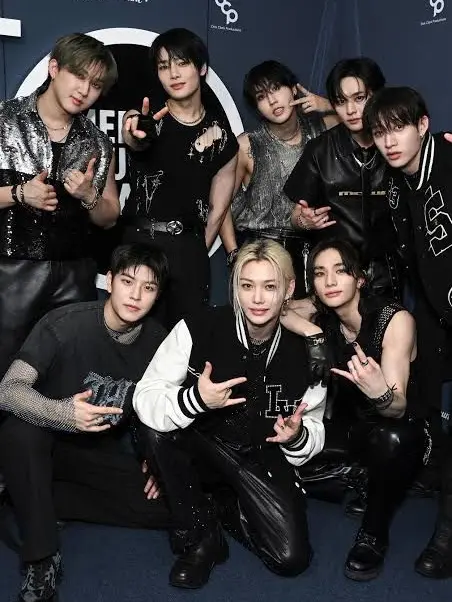 HotStorm9951의 Stray Kids