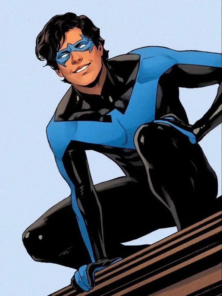 StubbyPlay5721의 Nightwing is desperate..