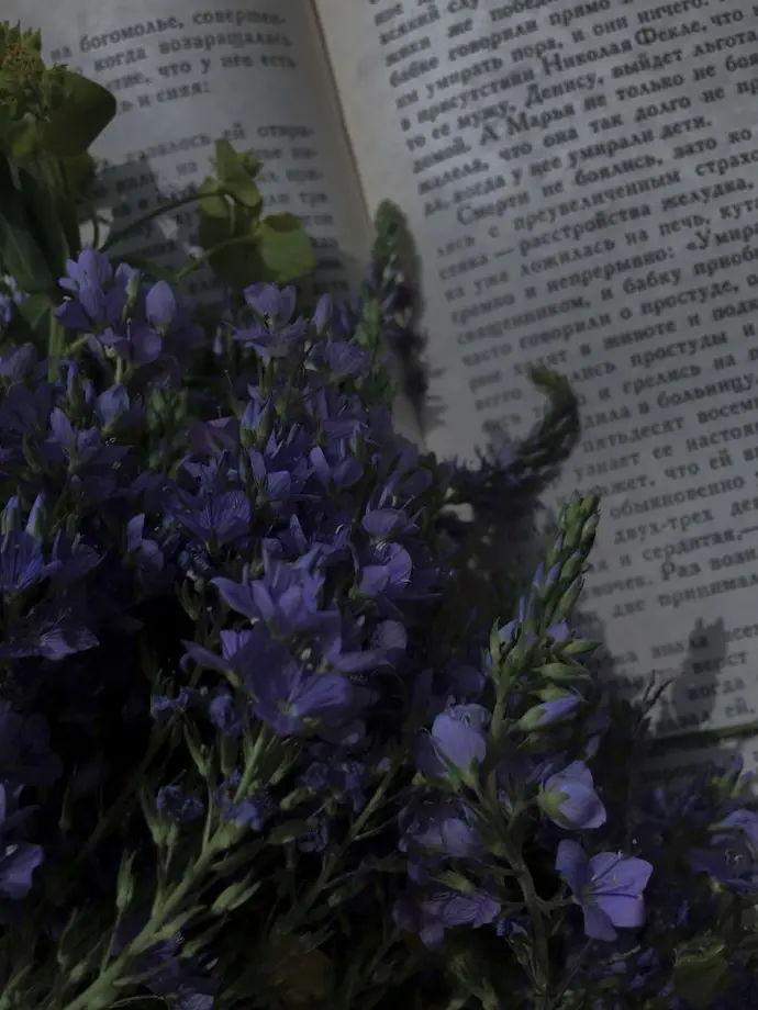 crazy_crazy의 어째서?