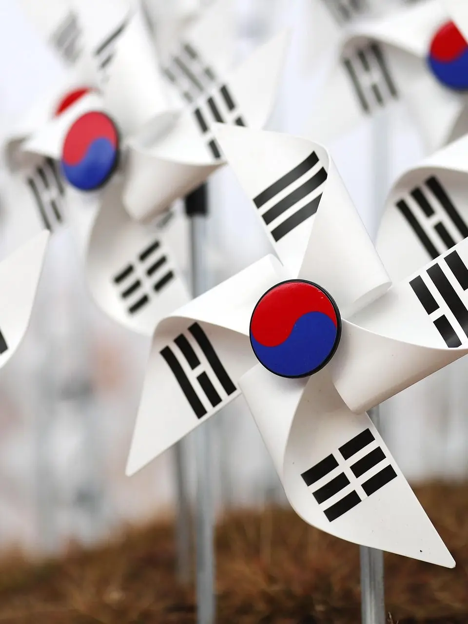 FloralLaser2445의 대한민국