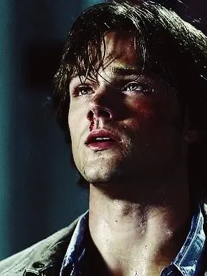 LinearDuvet3112의 Jared Padalecki
