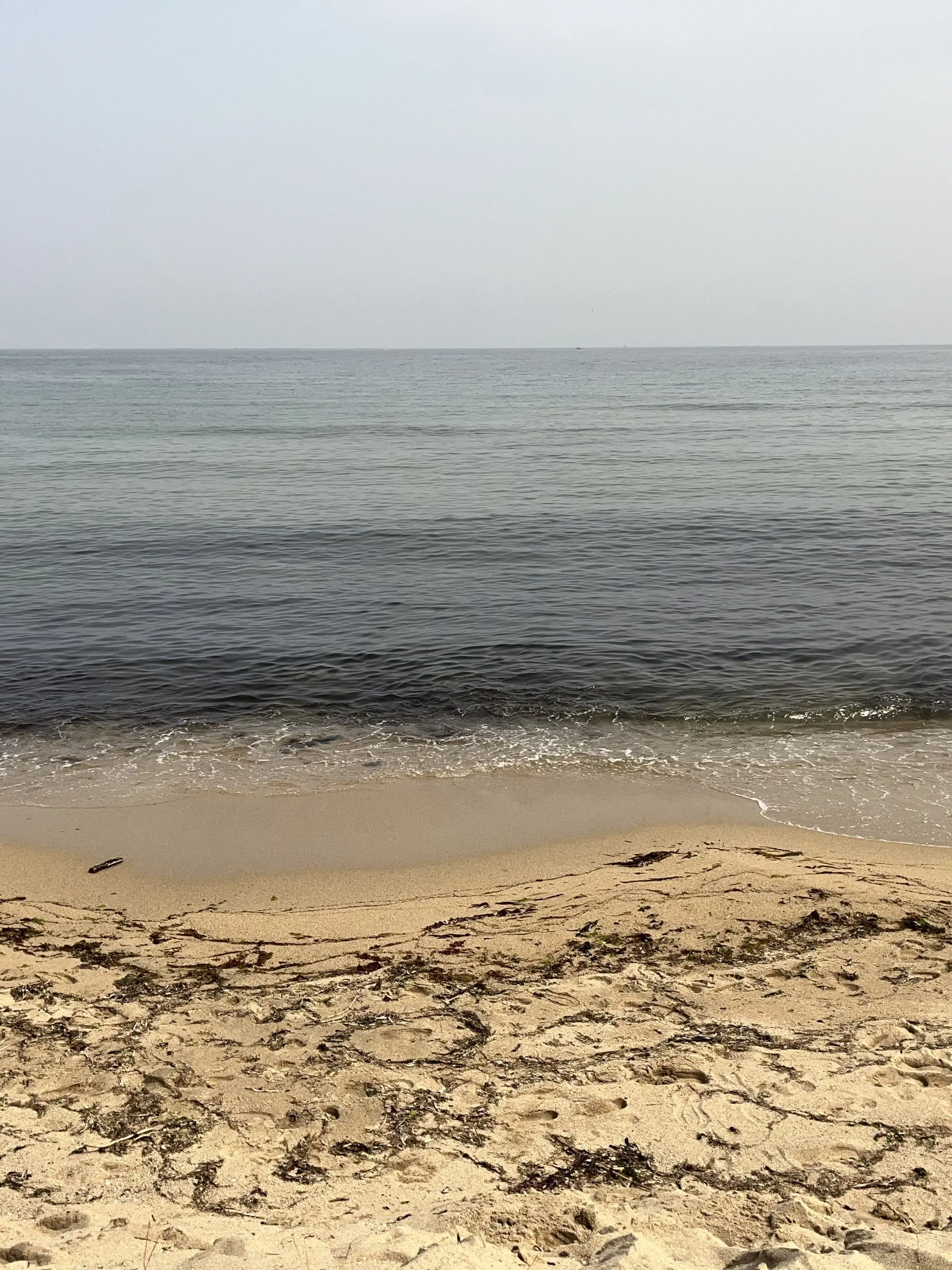 .eee의 혼자할거임