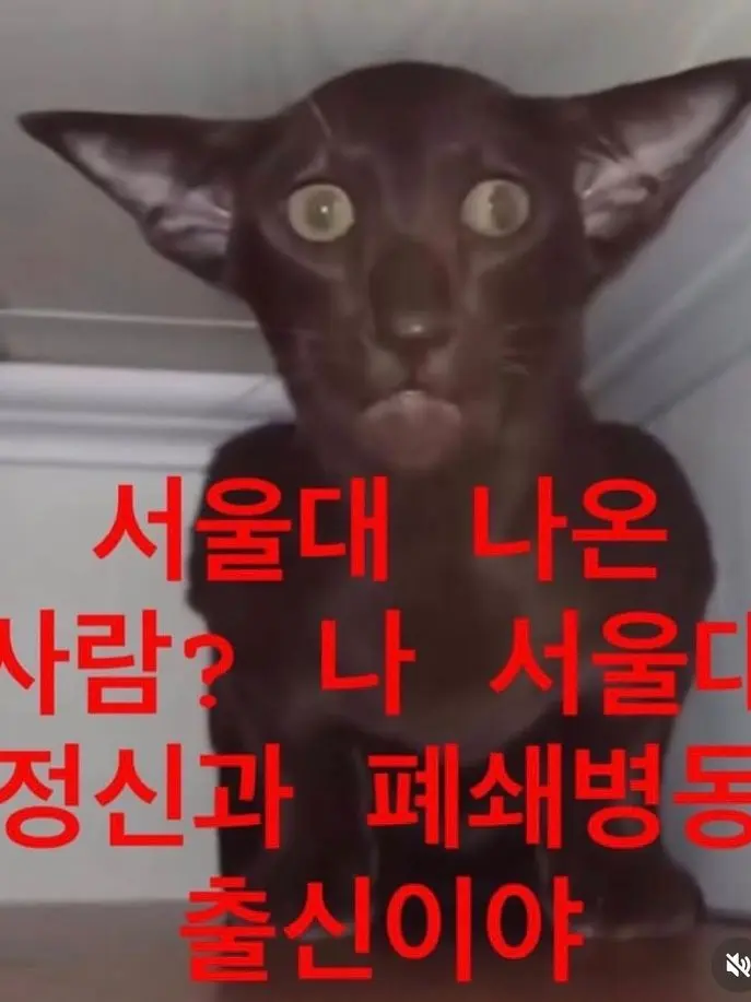 OT_O102의 ㅈㅓㅇㅂㅕㅇㅎㅗㅏㄴㅈㅏ—̳͟͞͞♡