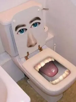 I_want_revenge의 Who wants a toilet?