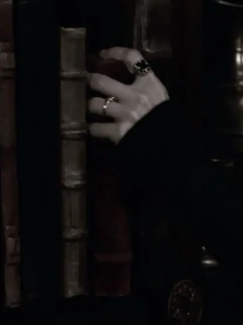 PlumpMudi6529의 The Mikaelsons