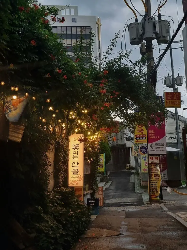 _pak0425의 뜰팁 조직 [ 여우 버전 ]