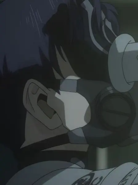 strawsb의 호시나 부대장님