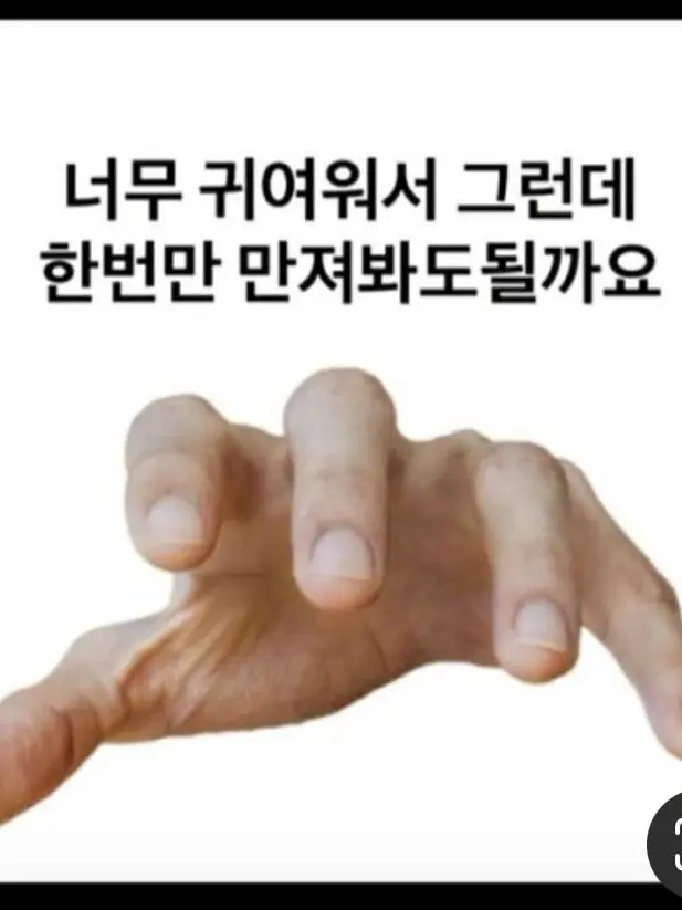 RapierHorse1839의 여름 휴가