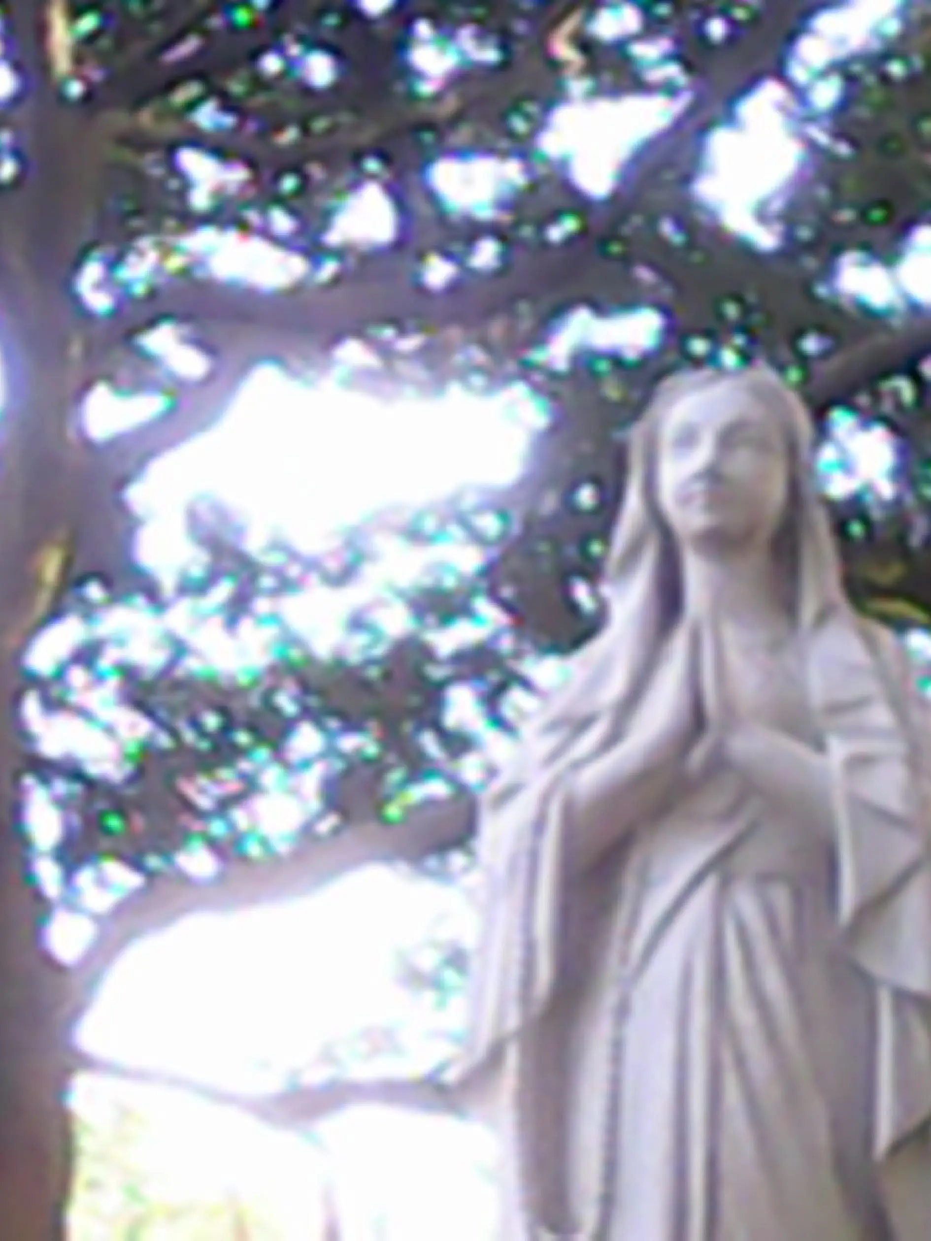 aggress1ve_p1nk의 피차 애새끼인 주제에