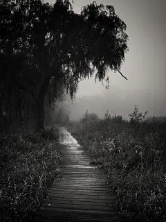 preee_0101의 Paradise Regression