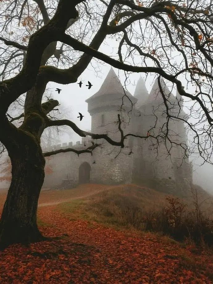 Dest98의 The Cursed Heir