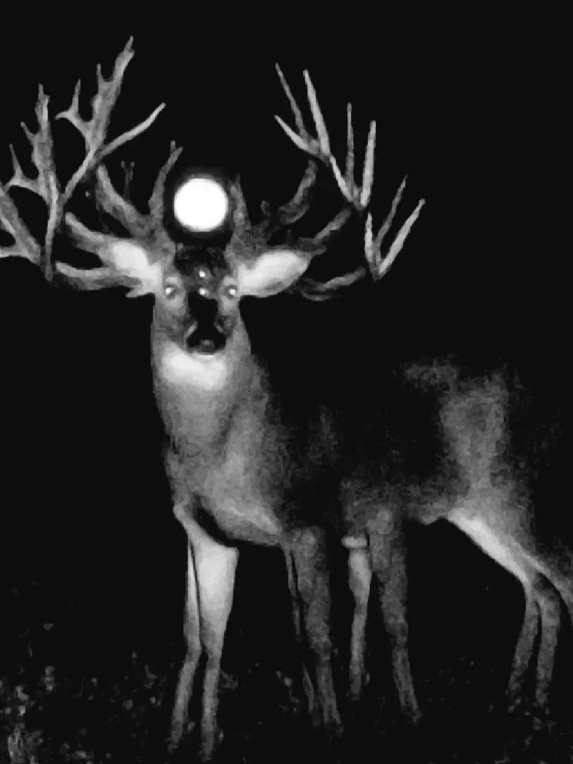 hhhhhhhh_0n의 Kaiman