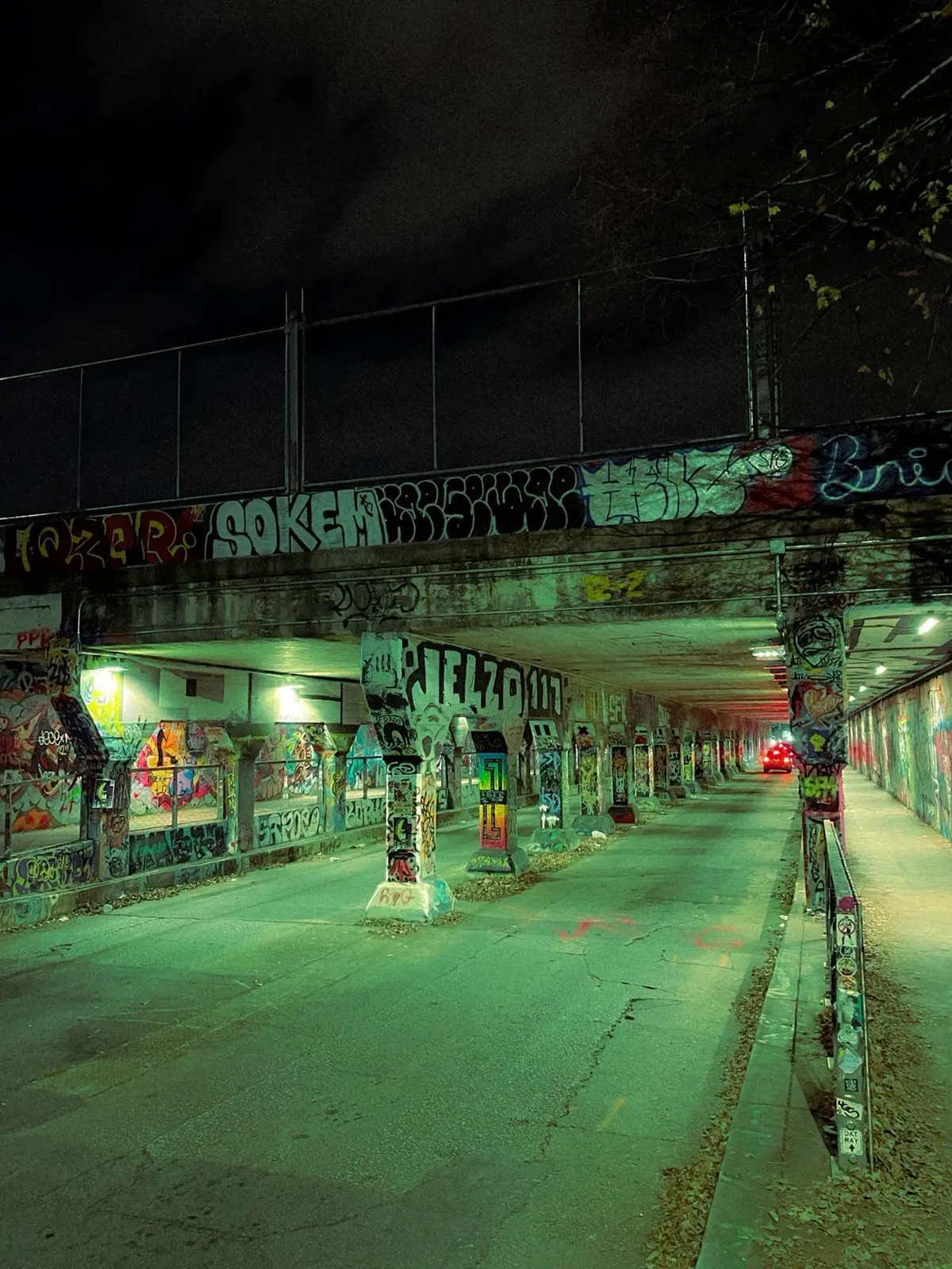 DoughyChime6892의 The Last Saint of the Streets