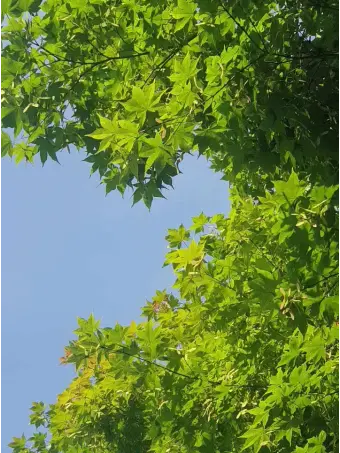 W.ah_xs의 제발 가만히 계시라고요..!